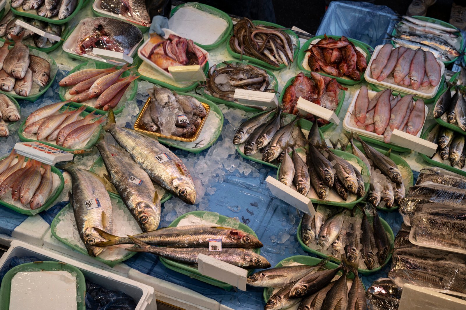 close up japanese street food scaled